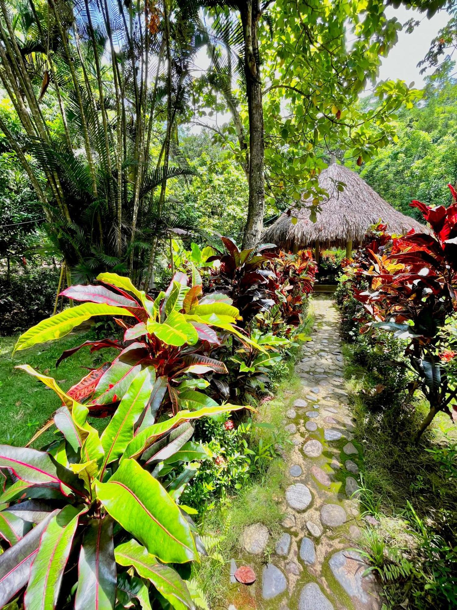 Santuario Tayrona Hostel Calabazo  Exteriér fotografie