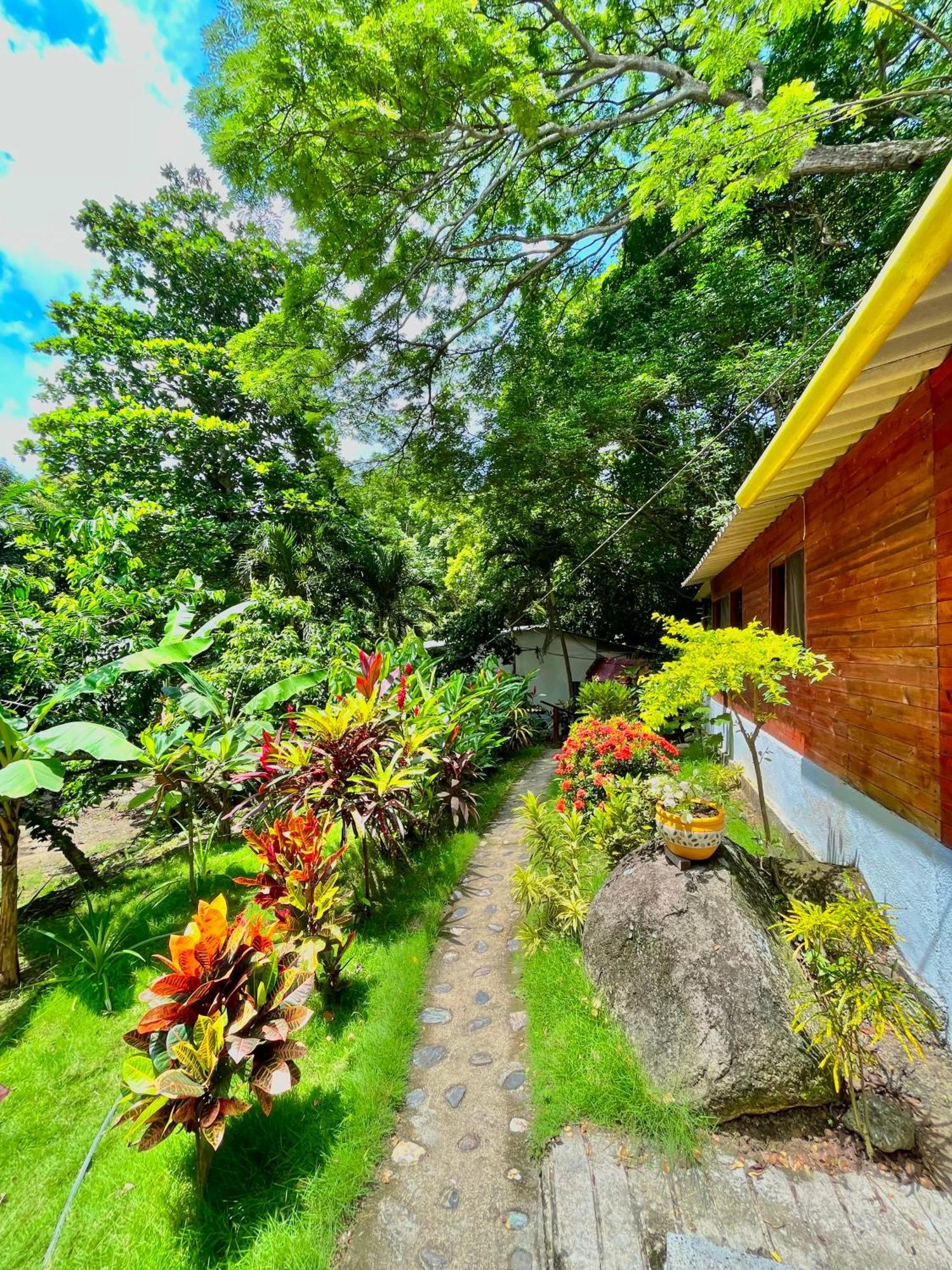 Santuario Tayrona Hostel Calabazo  Exteriér fotografie
